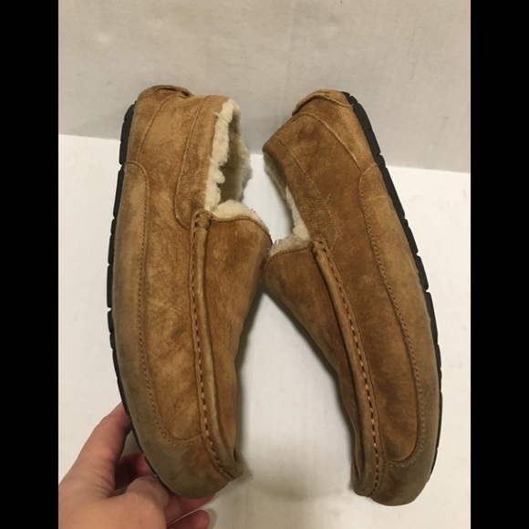 UGG ASCOT SUEDE SLIPPER main image 13